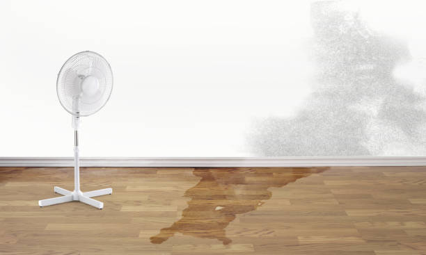 Best Basement water damage restoration  in Buhler, KS